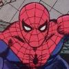 Peter Parker / Spider-Man